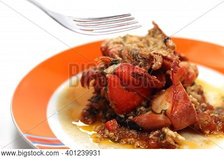 Shellfish Fish Ragout Recipe With Lobster Shellfish Fish Ragout Recipe With Lobster
