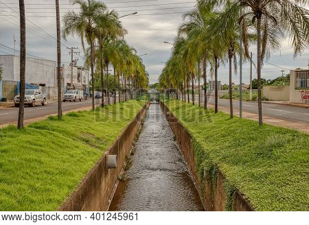 Palmito Stream In The City Of Cassilandia