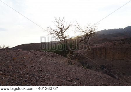 Hiking In The Shehoret Canyon, South Israel