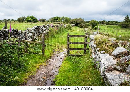 Sentiero che conduce attraverso un cancello attraverso Bodmin Moor