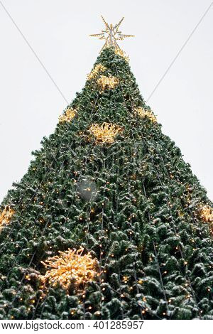 Decorated Spruce In The City. Decorated Top. ... Winter Has Come Concept. Happy New Year Greetings. 