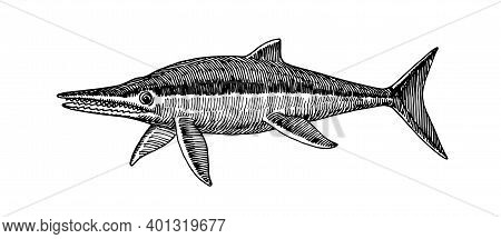 Prehistoric Reptile Of The Jurassic Period, Giant Ichthyosaur With Fins, Ancient Sea Lizard, Vector 