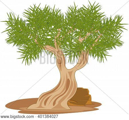 Vector Illustration Tree Saxaul Rising In Desert