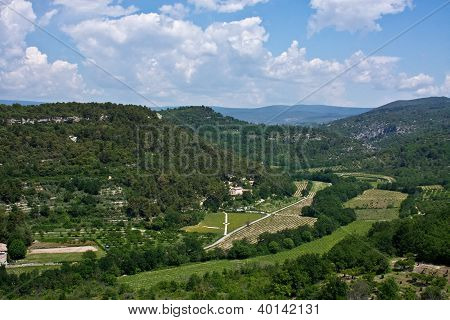 Provenï¿½al Countryside