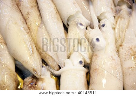 Peixes inteiros e frescos são oferecidos no mercado de peixe na Ásia