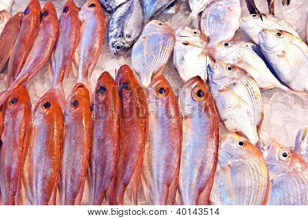 Peixes inteiros e frescos são oferecidos no mercado de peixe na Ásia