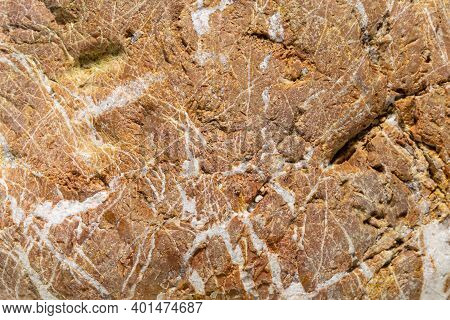 Detail Of A Colored Sea Stone