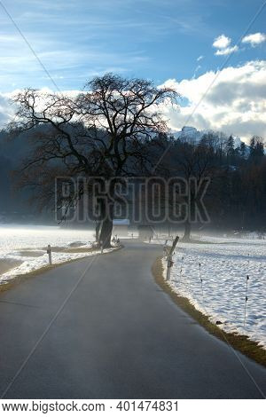 Winter Landscape Scenery In Ruggell In Liechtenstein 17.12.2020
