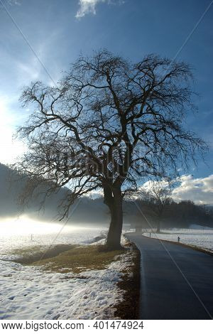 Winter Landscape Scenery In Ruggell In Liechtenstein 17.12.2020