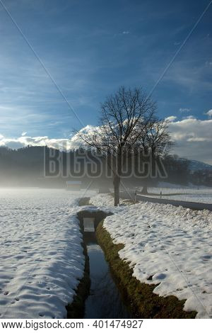 Winter Landscape Scenery In Ruggell In Liechtenstein 17.12.2020