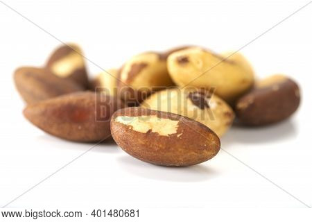 Brazil Nut Bertholletia Excelsa On A White Background, Isolated.