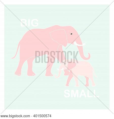 Big And Small Opposite Adjective Vector Illustration For English Lesson Education Pink Elephan