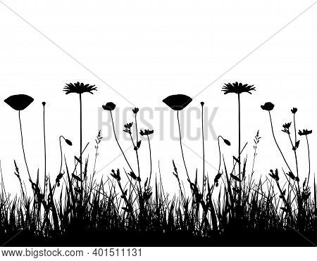 Vector Seamless Border With Oxeye Daisy, Corn Poppy And Meadow Vetchling In Grass Isolated On White 
