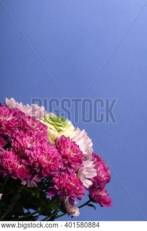 Clorfull Flowers Bouquet Studio Shot On Blue Background