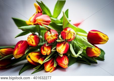 Beautiful Tseti Tulips And Roses On A Light Background