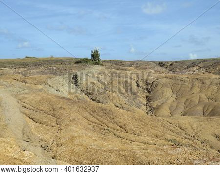 Tropical Landscape Of Volcanic Rock By The Caribbean Sea. Caribbean Desert. Savanna Of Petrification