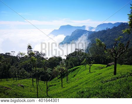 Spectacular View Of Coonoor Mountain Valley And Tea Gardens