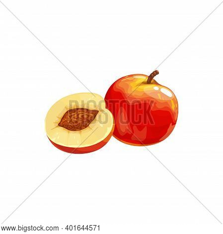 Nectarine Peach Fruit Icon, Tropical Exotic Food, Vector Isolated. Nectarine Peach Fruits Half Cut A