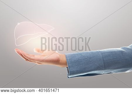 Female Doctor Holding Liver Illustration Against A Gray Background. The Concept Of Liver Disease Pro