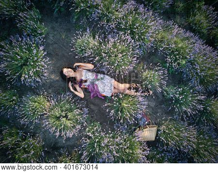 Young Slim Fair-skinned Girl Brunette Beautiful Lies In Lavender Field. Top View.