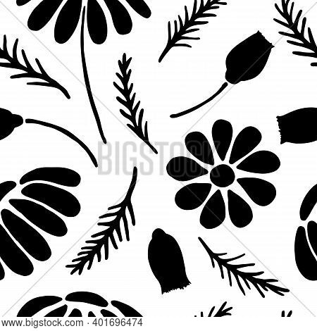 Hand Drawn Daisy Seamless Pattern On Clean White Background