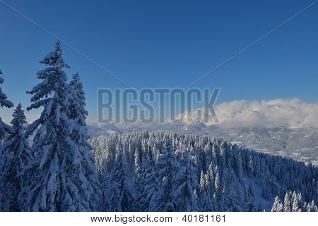 natura mountaint zimowy pejzaż z drzewa i śnieg świeży