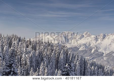 natura mountaint zimowy pejzaż z drzewa i śnieg świeży