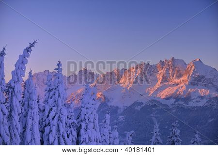 natura mountaint zimowy pejzaż z drzewa i śnieg świeży