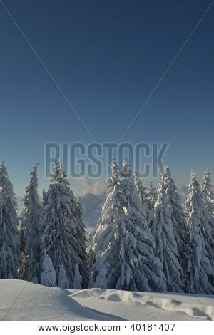natura mountaint zimowy pejzaż z drzewa i śnieg świeży