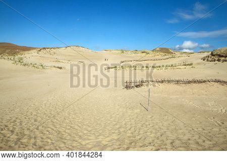 A Picture From The Curonian Spit (kursiu Nerija) National Park In Lithuania. The Big Sand Dunes By T
