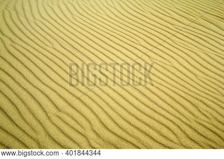 A Picture From The Curonian Spit (kursiu Nerija) National Park In Lithuania. A Detail Of The Sand Du