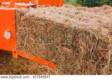 The Process Of Harvesting Hay For Cattle, A Tractor Making Bales In The Field, Old Machinery.