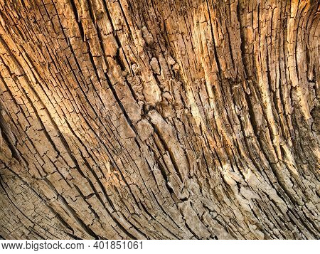 Close Up Old Wood Grain Texture .\nwooden Texture Background. Brown Wood Texture, Old Wood Texture,o