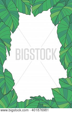 Plant Vector Frame With Green Exotic Plant With Botanic Name 'alocasia Macrorrhizos' And 'giant Taro