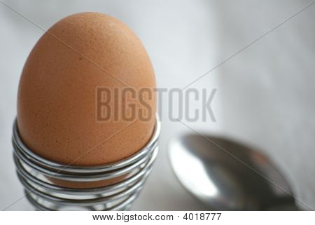 Ovo