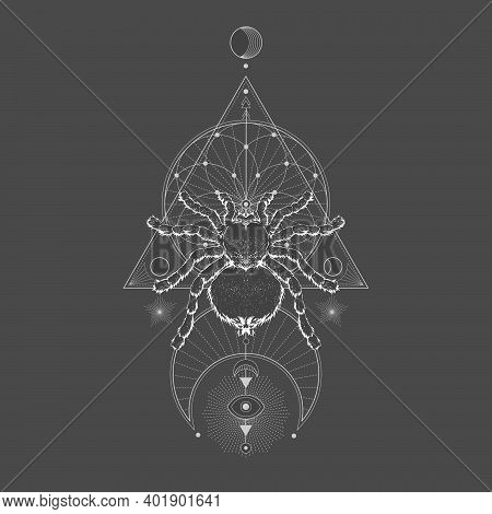 Vector Illustration With Hand Drawn Spider Tarantula And Sacred Geometric Symbol On Black Vintage Ba