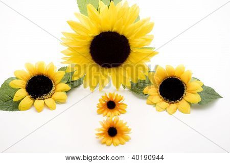 Flores de girassóis