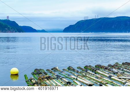 View Of Logs And The Saguenay Fjord In L-anse-de-roche, Quebec, Canada