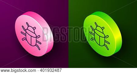 Isometric Line System Bug Concept Icon Isolated On Purple And Green Background. Code Bug Concept. Bu
