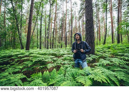 Guy With Backpack In Sunny Summer Forest Among Lush Fern Thickets. Beautiful Woodland Green Landscap