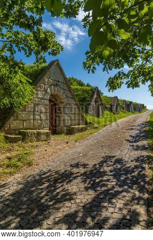 Gombos-hegyi pincesor in Hercegkut, UNESCO site, Great Plain, North Hungary