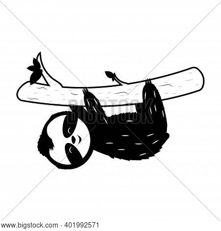 Cute Sloth Bear On Brunch Silhouette, Cartoon Style Isolated On White Background Stock Vector Illust
