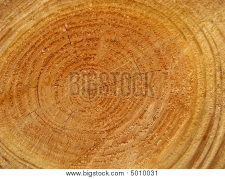 Sfondo di legno appena tagliato