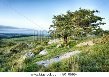 Bodmin Moor