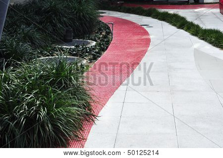 Walkway  Gaden  Decor