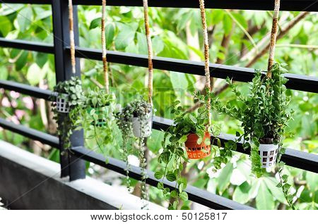 Small Plant Decor