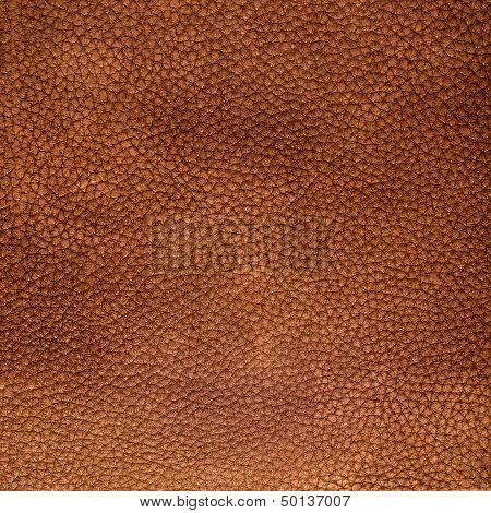 Brown Leather Texture Closeup