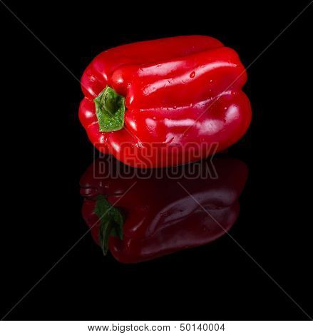 Bell Pepper.