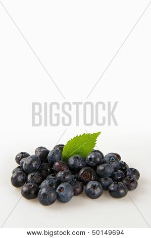 Blueberries Isolated On A White Background