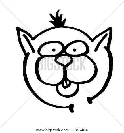 Catface01